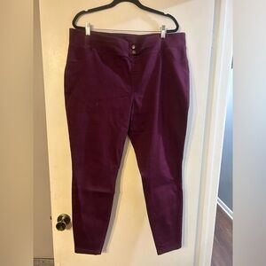 Maroon Hue Denim Jeggings